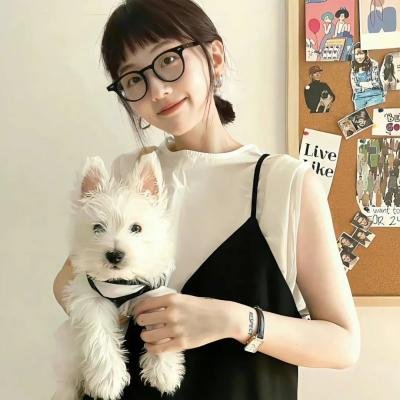公主复仇者2:战士再起